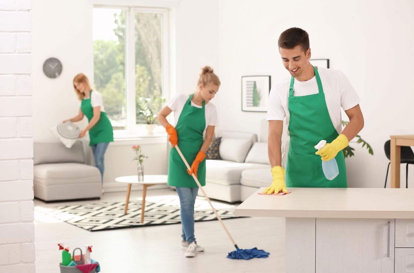 the team cleaning a home in arlington virginia